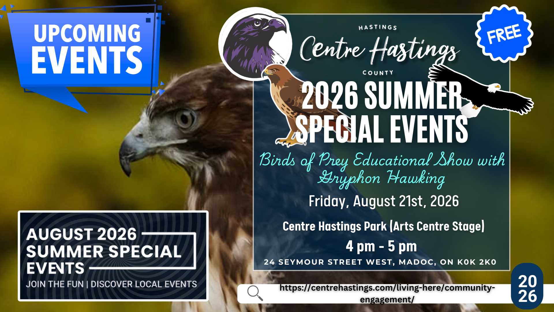 Birds of Prey Educational Show with Gryphon Hawking Coming to Centre Hastings Park
